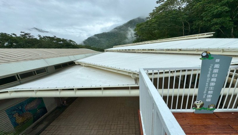 🌿✨ 鳳凰谷鳥園全新登場 ✨🌿